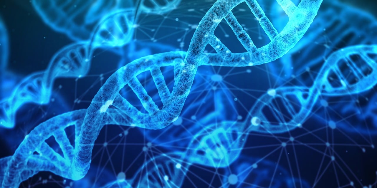 N-甲基嗎啉氧化物在可持續(xù)高分子材料領(lǐng)域做出的重要貢獻(xiàn)